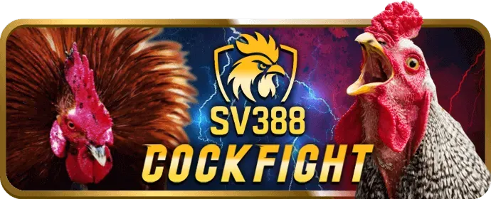 Bước 1: Đăng nhập và chọn 